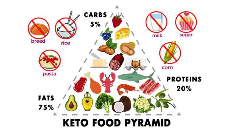 Keto Diet The Science, Benefits, and Drawbacks