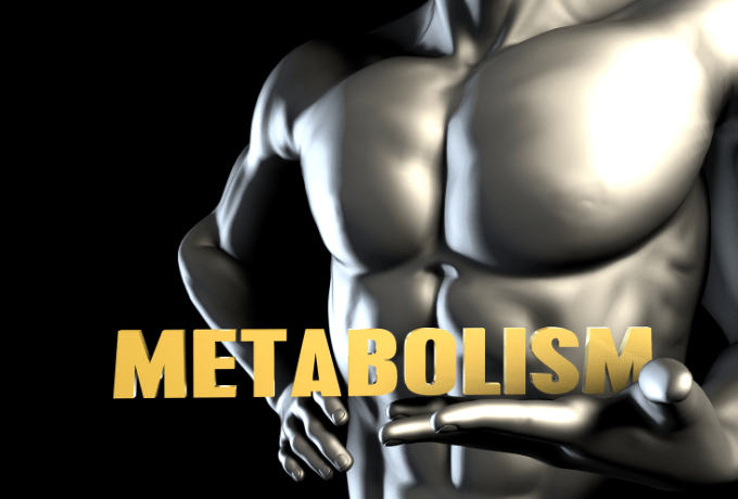 can metabolism speed up
