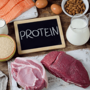 The Power of Protein Why High-Protein Diets Burn More Fat