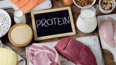 The Power of Protein Why High-Protein Diets Burn More Fat