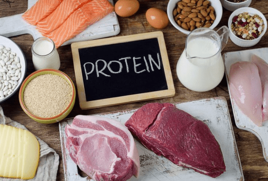 The Power of Protein Why High-Protein Diets Burn More Fat